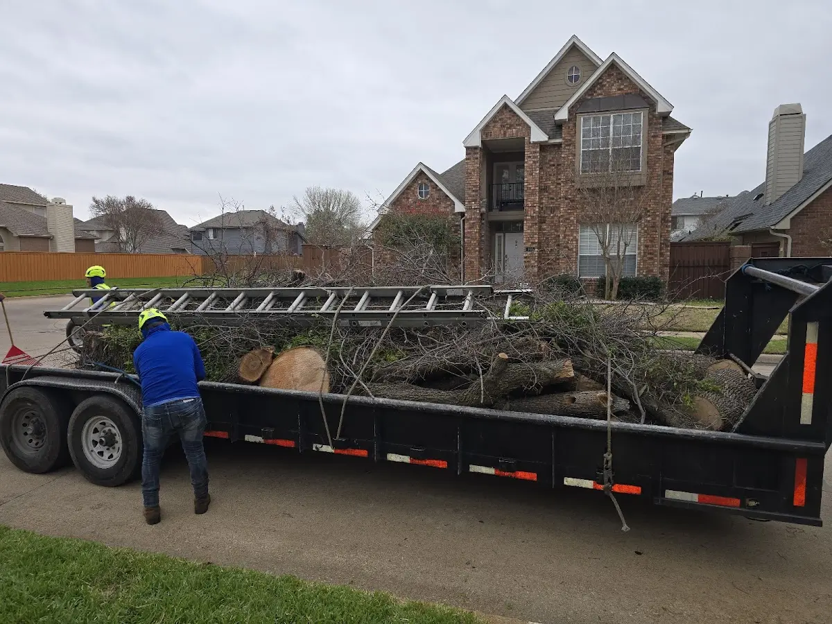 Expert Tree Removal with proper safety equipment in Manchester